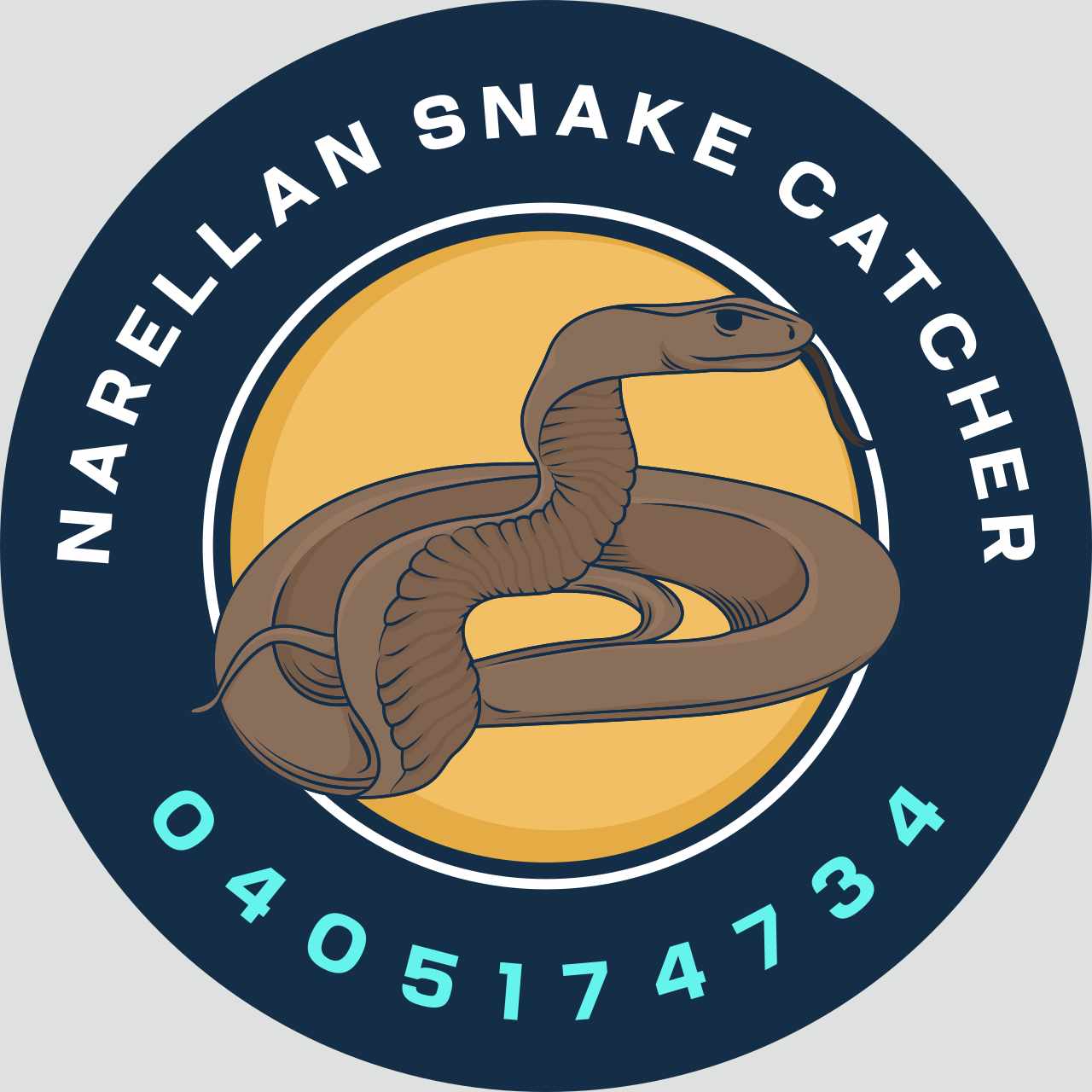 460199273 346959355111495 5344195337974903361 n