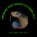 brisbane west snake catchers 247 logo 20250729 221832 0000